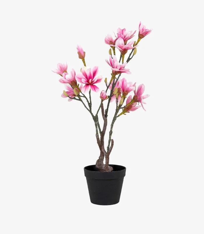 Magnolia konstträd från House Nordic 